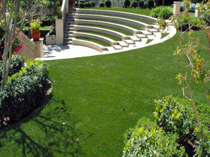 Best Artificial Grass San Miguel, California Home And Garden