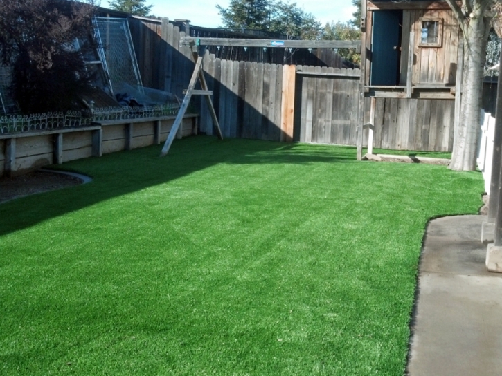 Best Artificial Grass Santee, California Landscaping Business, Backyards