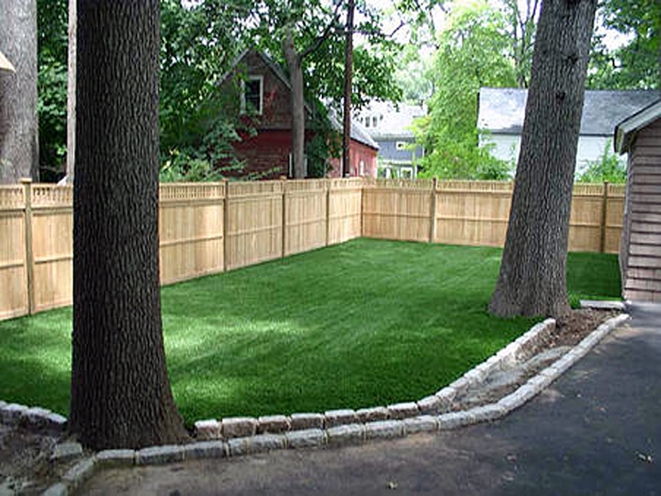 Best Artificial Grass Weedpatch, California Dog Run, Backyard Landscaping Ideas