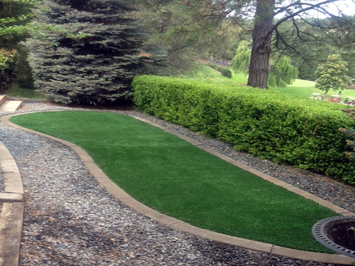 Best Artificial Grass Yettem, California Lawn And Garden