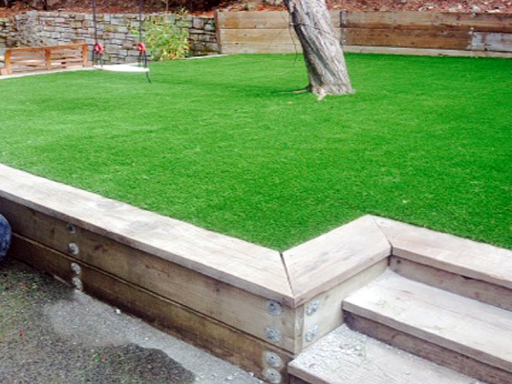 Best Artificial Grass Yucca Valley, California Landscaping Business, Beautiful Backyards