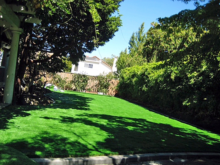 Fake Grass Arcadia, California Gardeners, Backyards