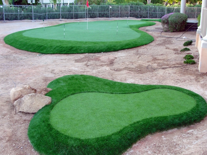 Fake Grass Camp Pendleton North, California Outdoor Putting Green, Front Yard Landscape Ideas