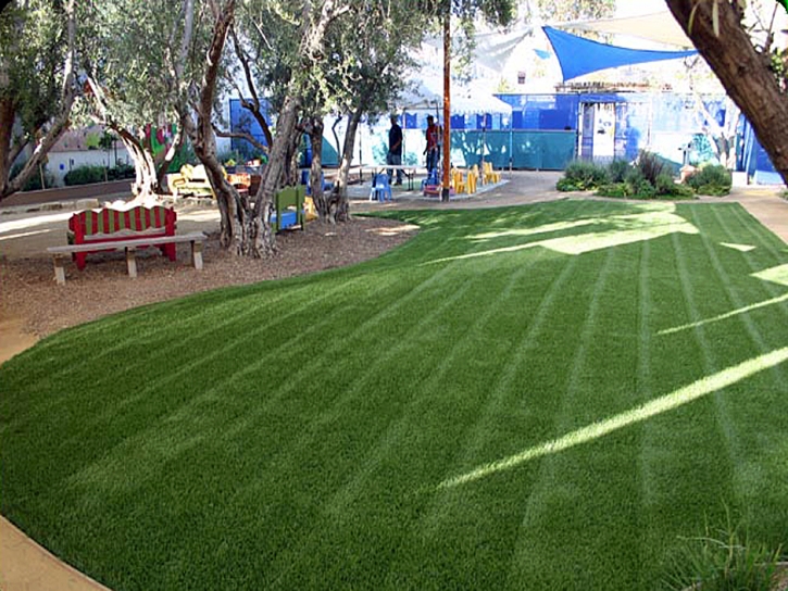 Fake Grass Carpet Alpine Village, California Design Ideas, Commercial Landscape