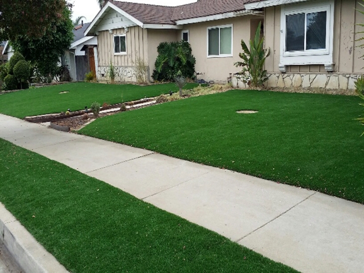 Fake Grass Carpet Derby Acres, California Landscape Ideas, Front Yard Landscaping