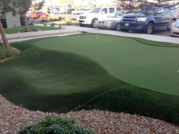 Fake Grass Carpet Edna, California Landscape Photos, Commercial Landscape