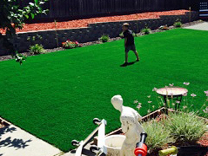 Fake Grass Carpet Encinitas, California Landscape Ideas, Backyard