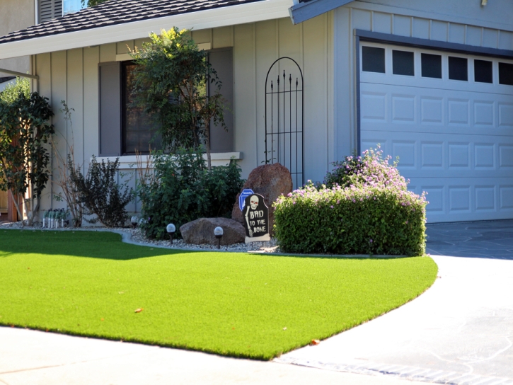 Fake Grass Carpet Indio Hills, California Landscape Rock, Landscaping Ideas For Front Yard