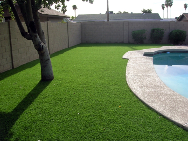 Fake Grass Carpet Oildale, California Landscaping, Kids Swimming Pools