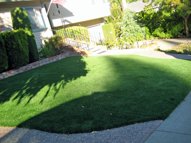 Fake Grass Carpet Porterville, California Lawn And Landscape, Front Yard Landscaping Ideas