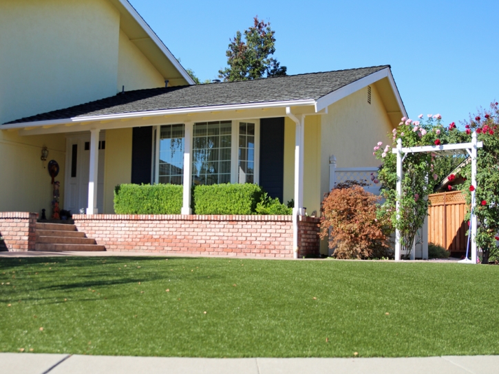 Fake Grass Carpet Seacliff, California Home And Garden, Landscaping Ideas For Front Yard