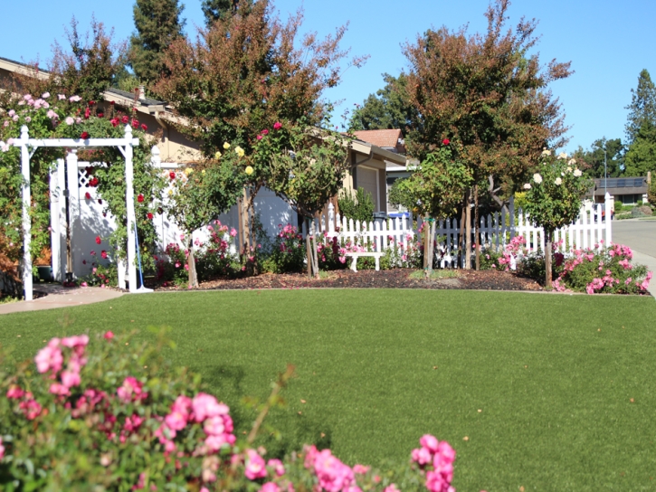 Fake Grass Carpet Tulare, California City Landscape, Front Yard Landscaping Ideas