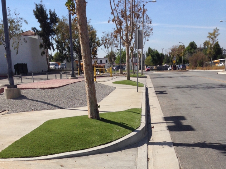 Fake Grass Furnace Creek, California Landscaping Business, Commercial Landscape