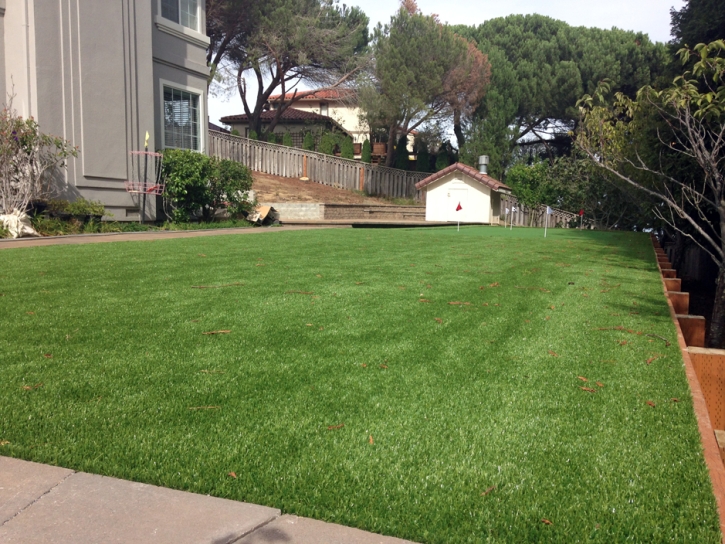 Fake Grass Harbison Canyon, California Landscape Rock, Backyards