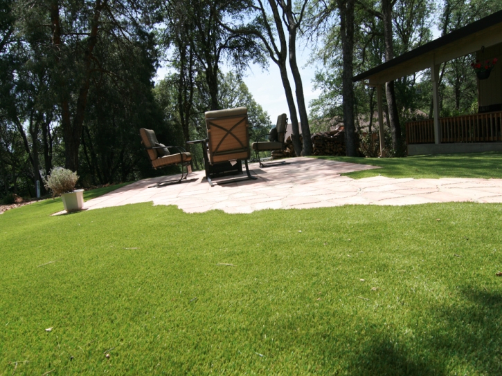 Fake Grass Home Gardens, California Roof Top, Beautiful Backyards