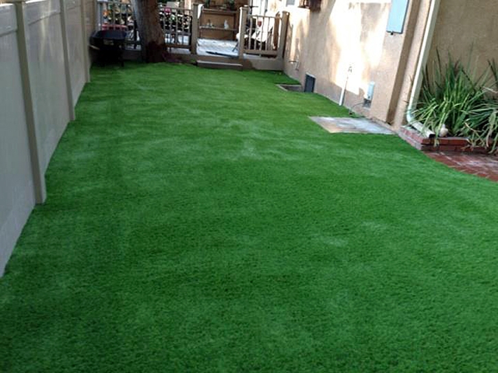 Fake Grass Lockwood, California Landscaping Business, Backyard