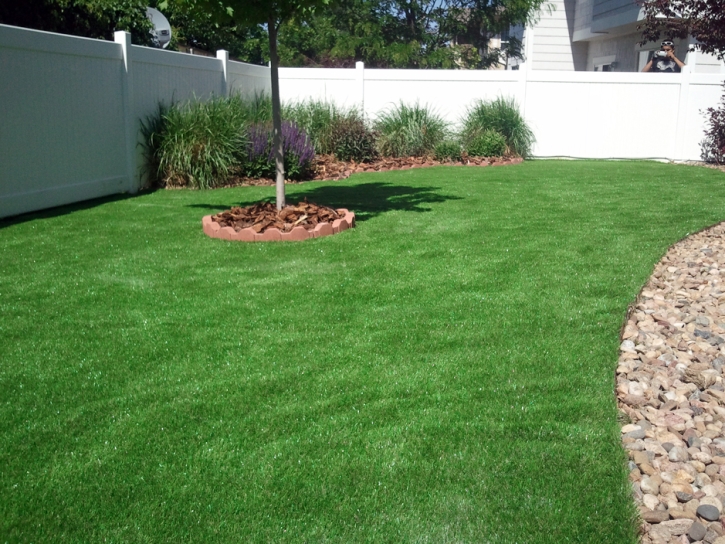 Fake Grass Pico Rivera, California Landscaping, Backyards