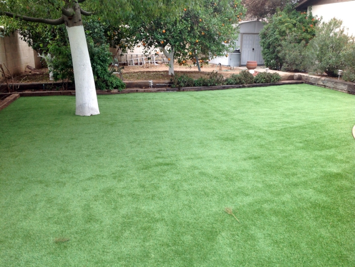 Fake Grass Squirrel Mountain Valley, California Lawns, Backyard Designs