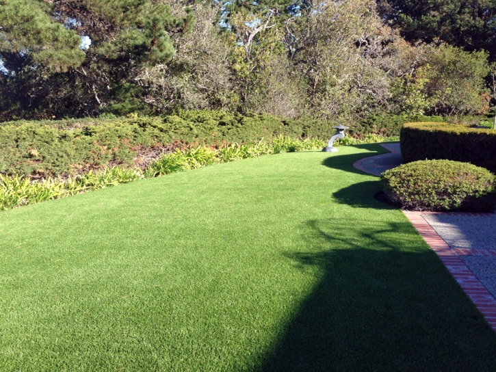 Fake Grass Sunnyslope, California Landscape Design, Front Yard Design