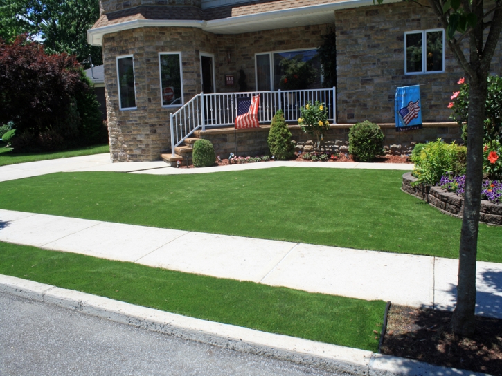 Fake Grass Temple City, California Landscape Photos, Landscaping Ideas For Front Yard