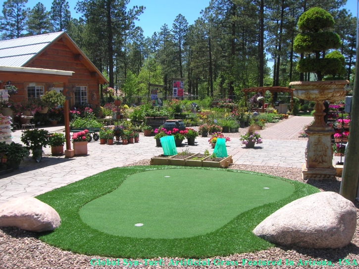 Fake Grass Vernon, California Backyard Putting Green, Backyard Landscaping