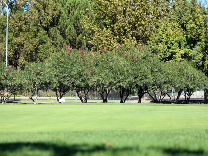 Fake Lawn Bermuda Dunes, California Putting Green