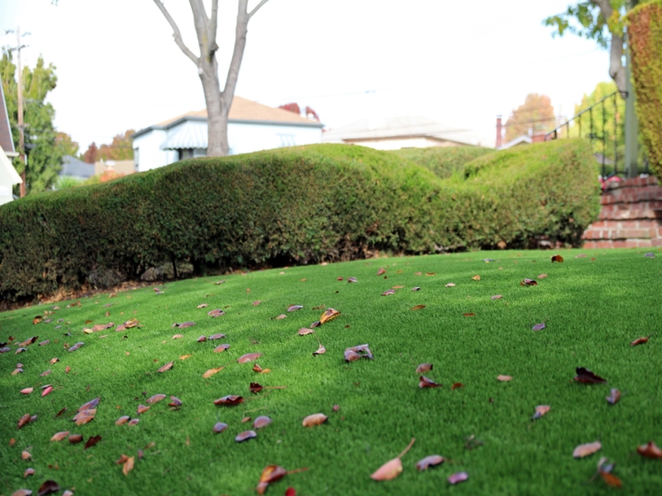 Fake Lawn Clovis, California Roof Top, Front Yard Landscaping Ideas