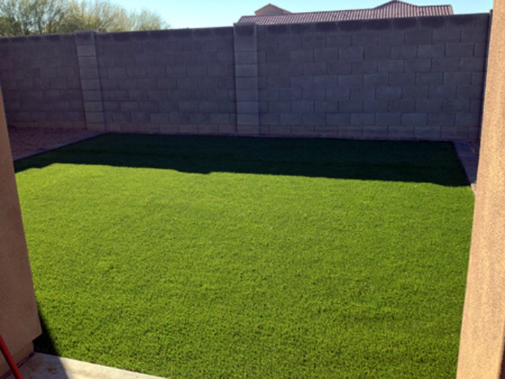 Fake Lawn Dos Palos Y, California Landscape Rock, Backyard Landscaping Ideas