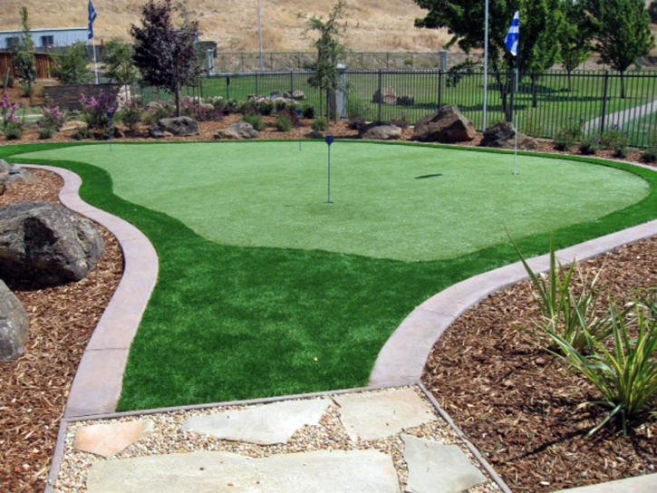 Fake Lawn Lamont, California Landscape Design, Beautiful Backyards