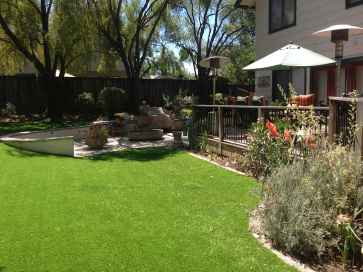 Fake Lawn Leona Valley, California City Landscape, Backyard Garden Ideas