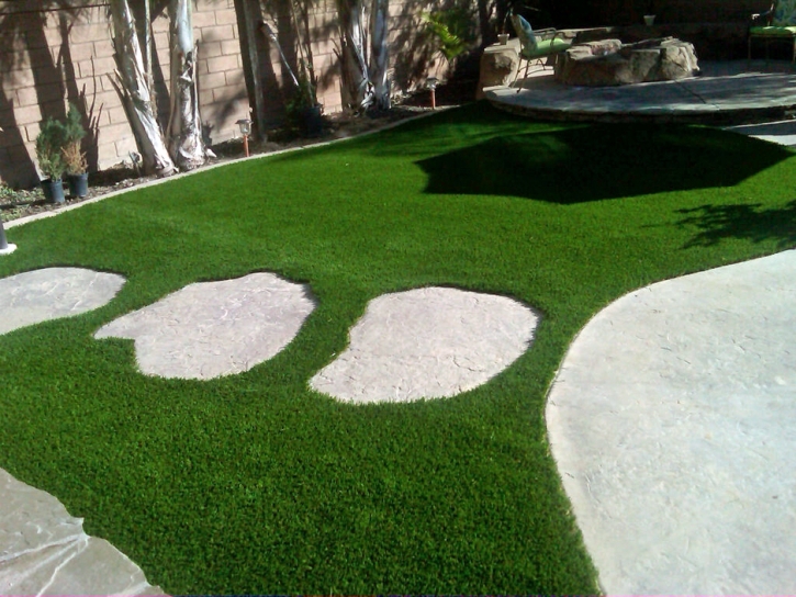 Fake Lawn Parkwood, California City Landscape, Backyard Garden Ideas