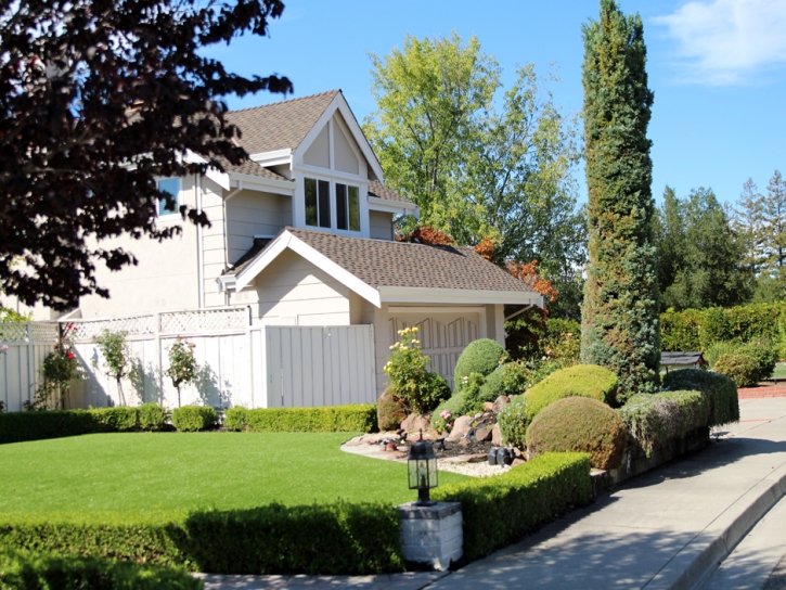 Fake Turf Casa de Oro-Mount Helix, California Garden Ideas, Landscaping Ideas For Front Yard