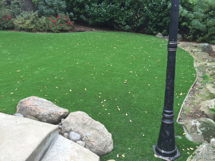 Fake Turf East Oakdale, California Design Ideas, Backyard Landscape Ideas