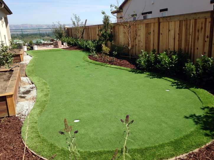 Fake Turf San Pasqual, California Putting Green Carpet, Backyard Landscaping