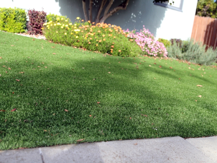 Fake Turf Three Rocks, California Gardeners, Front Yard Ideas