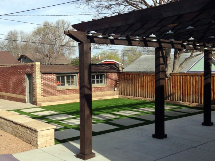 Faux Grass Greeley Hill, California Lawn And Garden, Backyard Designs