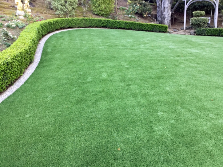 Faux Grass Jamestown, California Garden Ideas, Backyard Landscaping Ideas