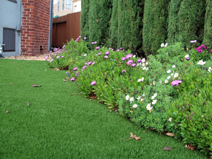 Faux Grass June Lake, California Landscape Ideas, Front Yard Landscape Ideas