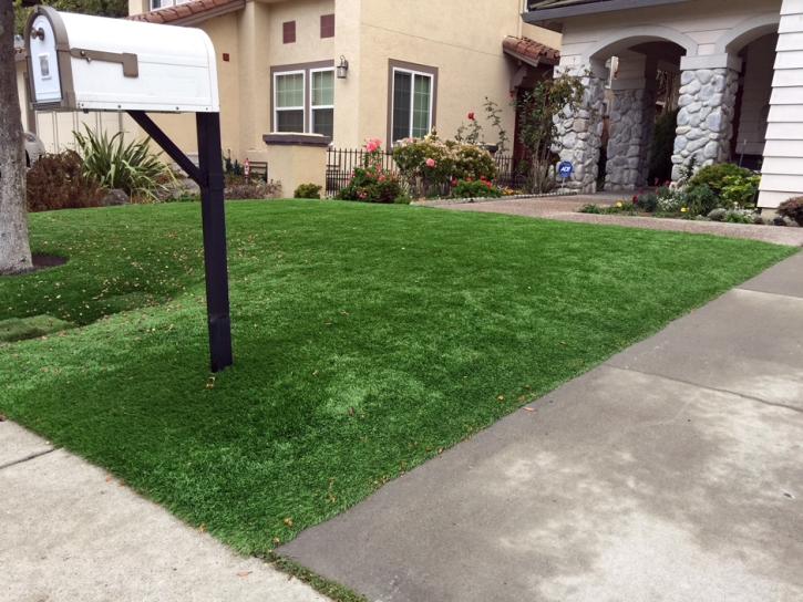 Faux Grass King City, California Roof Top, Front Yard Design