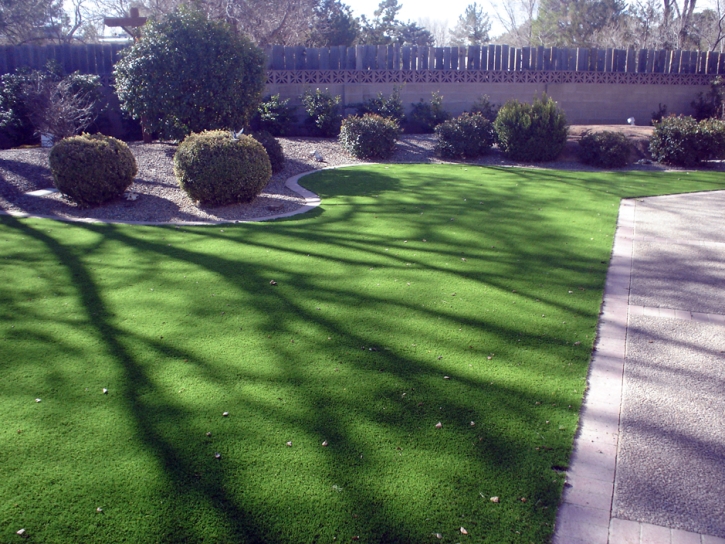 Faux Grass Riverside, California City Landscape, Front Yard Ideas