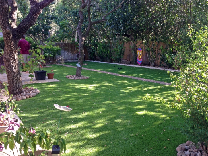 Faux Grass Toro Canyon, California Landscaping, Beautiful Backyards