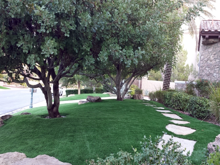 Faux Grass Ventura, California City Landscape, Small Front Yard Landscaping