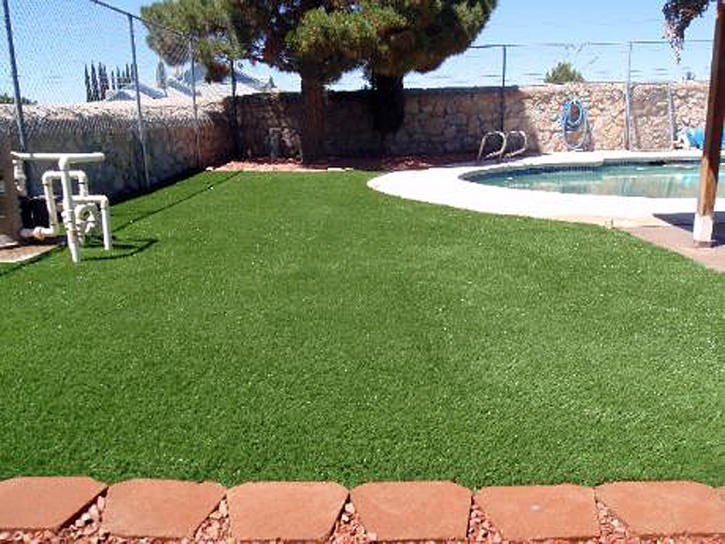 Grass Carpet Blythe, California Garden Ideas, Above Ground Swimming Pool