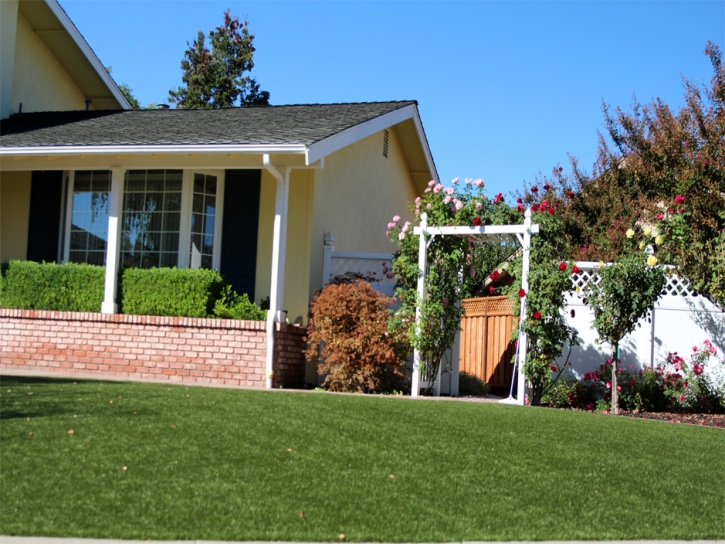 Grass Carpet China Lake Acres, California Landscape Ideas, Front Yard Landscaping