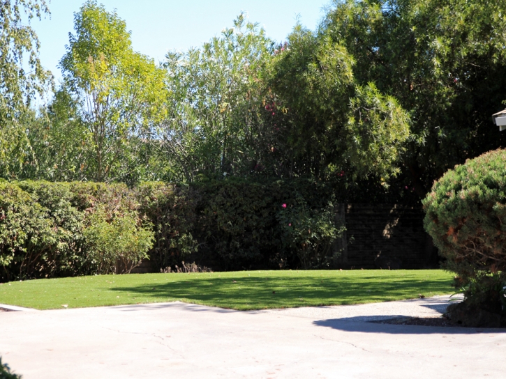 Grass Carpet Chula Vista, California Dog Parks, Front Yard Landscape Ideas