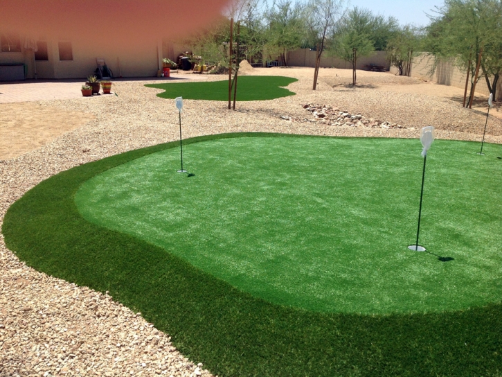 Grass Carpet Imperial Beach, California Putting Green Turf, Backyards