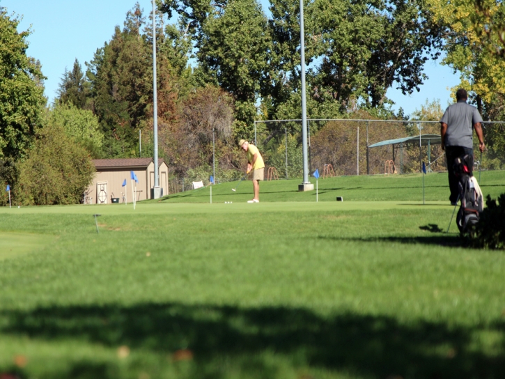 Grass Carpet National City, California How To Build A Putting Green, Commercial Landscape