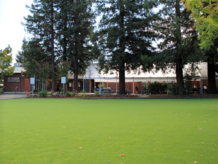 Grass Carpet Tarpey Village, California Paver Patio, Recreational Areas