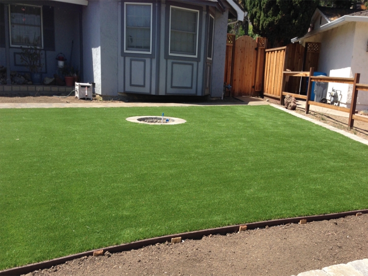 Grass Carpet Westley, California Gardeners, Backyard