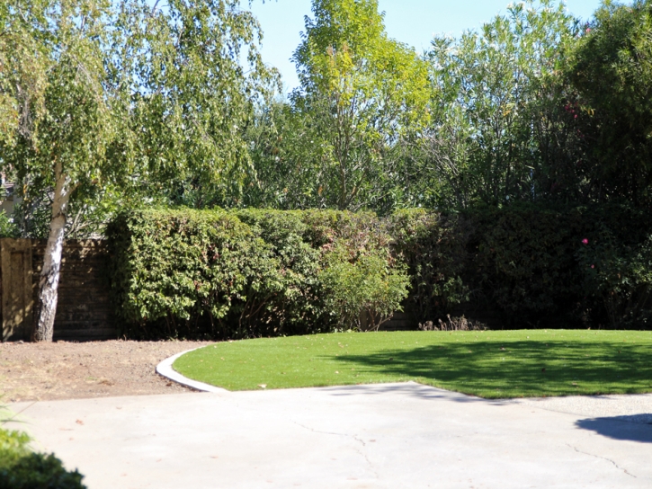 Grass Carpet Wofford Heights, California Design Ideas, Backyard Landscaping